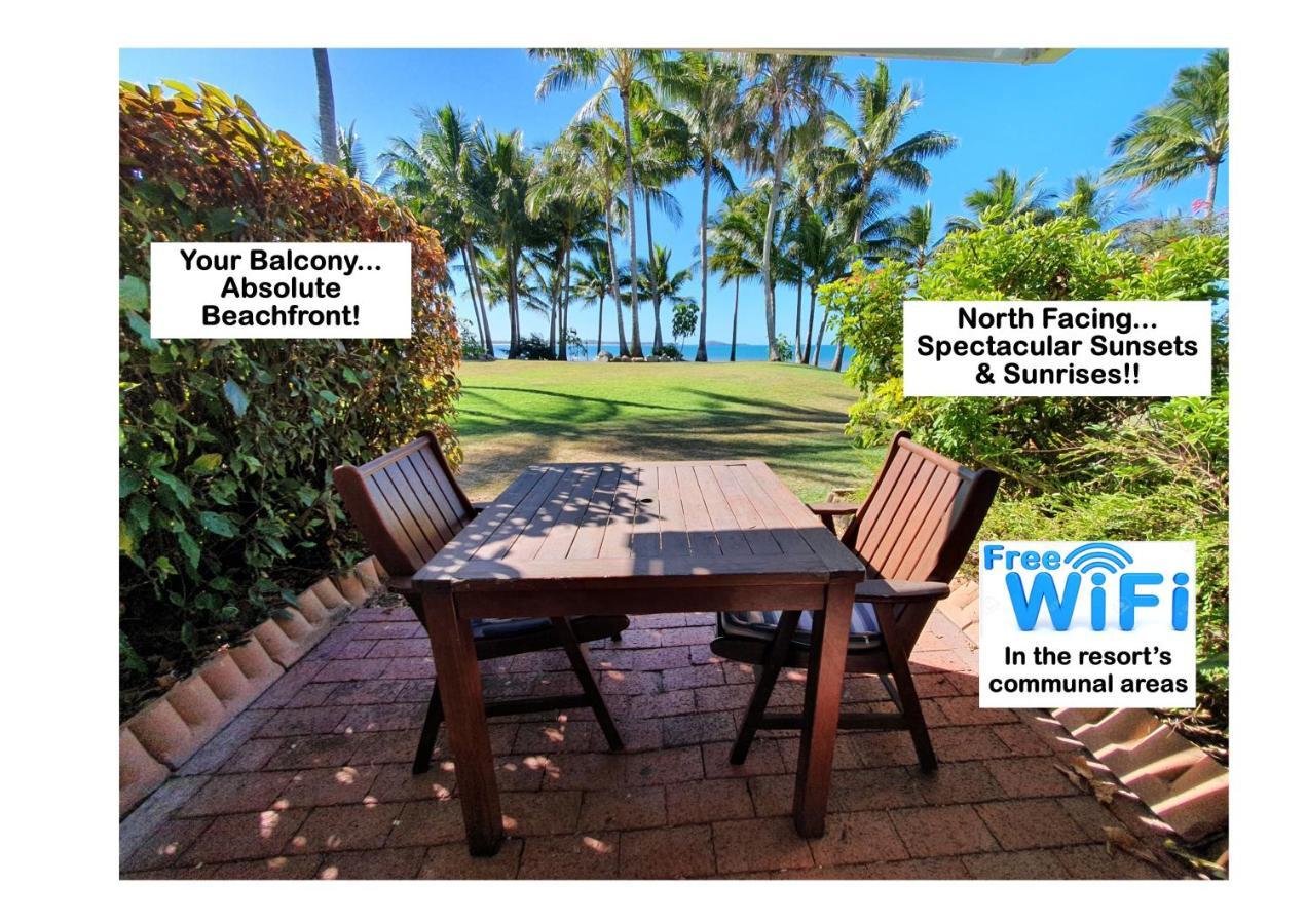 Dolphin Heads - Resort Unit - Absolute Beachfront! - Whitsunday Getaway! 매카이 외부 사진