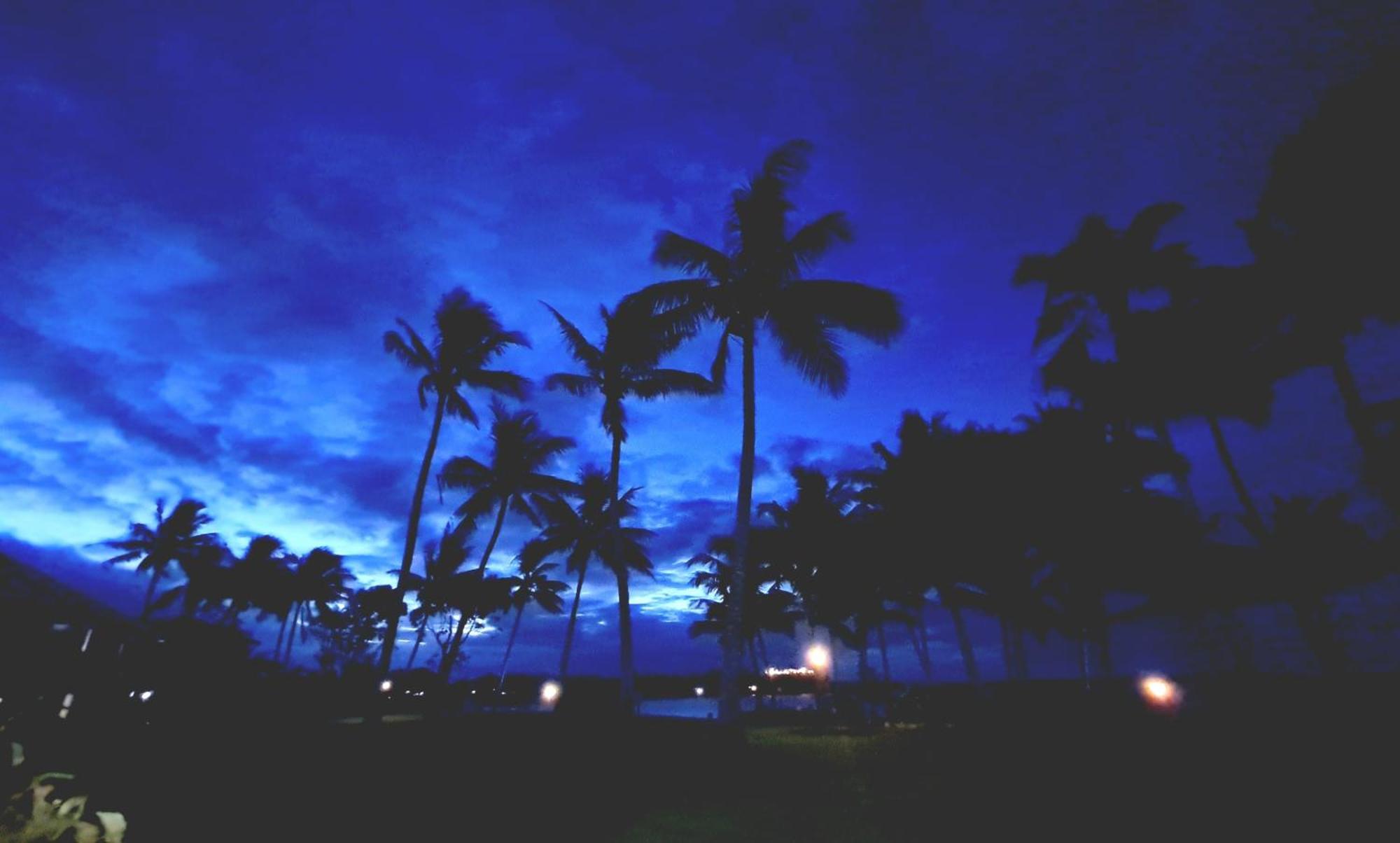 Dolphin Heads - Resort Unit - Absolute Beachfront! - Whitsunday Getaway! 매카이 외부 사진