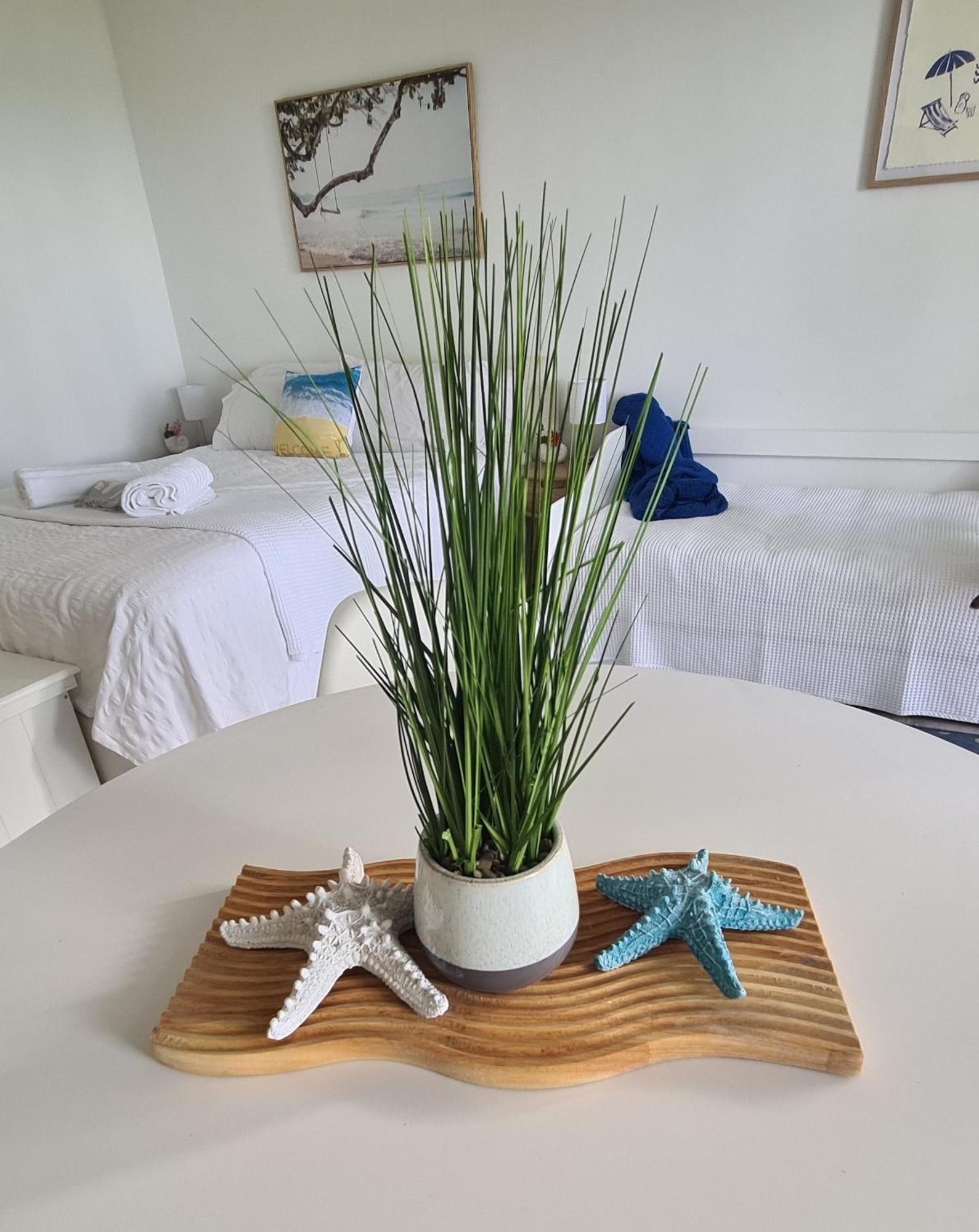 Dolphin Heads - Resort Unit - Absolute Beachfront! - Whitsunday Getaway! 매카이 외부 사진