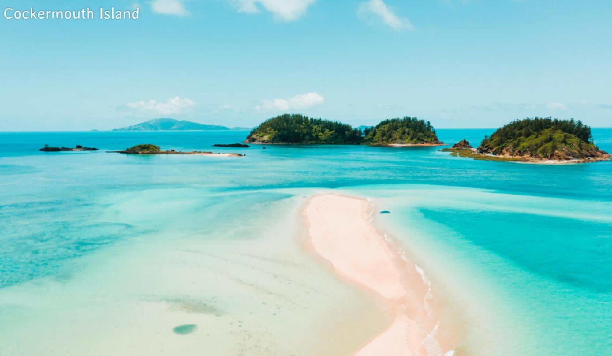 Dolphin Heads - Resort Unit - Absolute Beachfront! - Whitsunday Getaway! 매카이 외부 사진